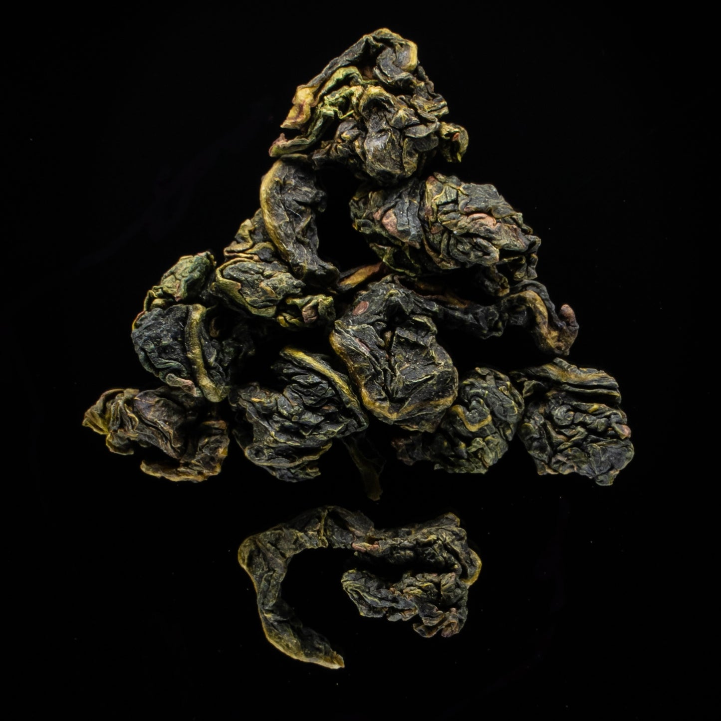 TIEGUANYIN: XIPING, AUTUMN 2023